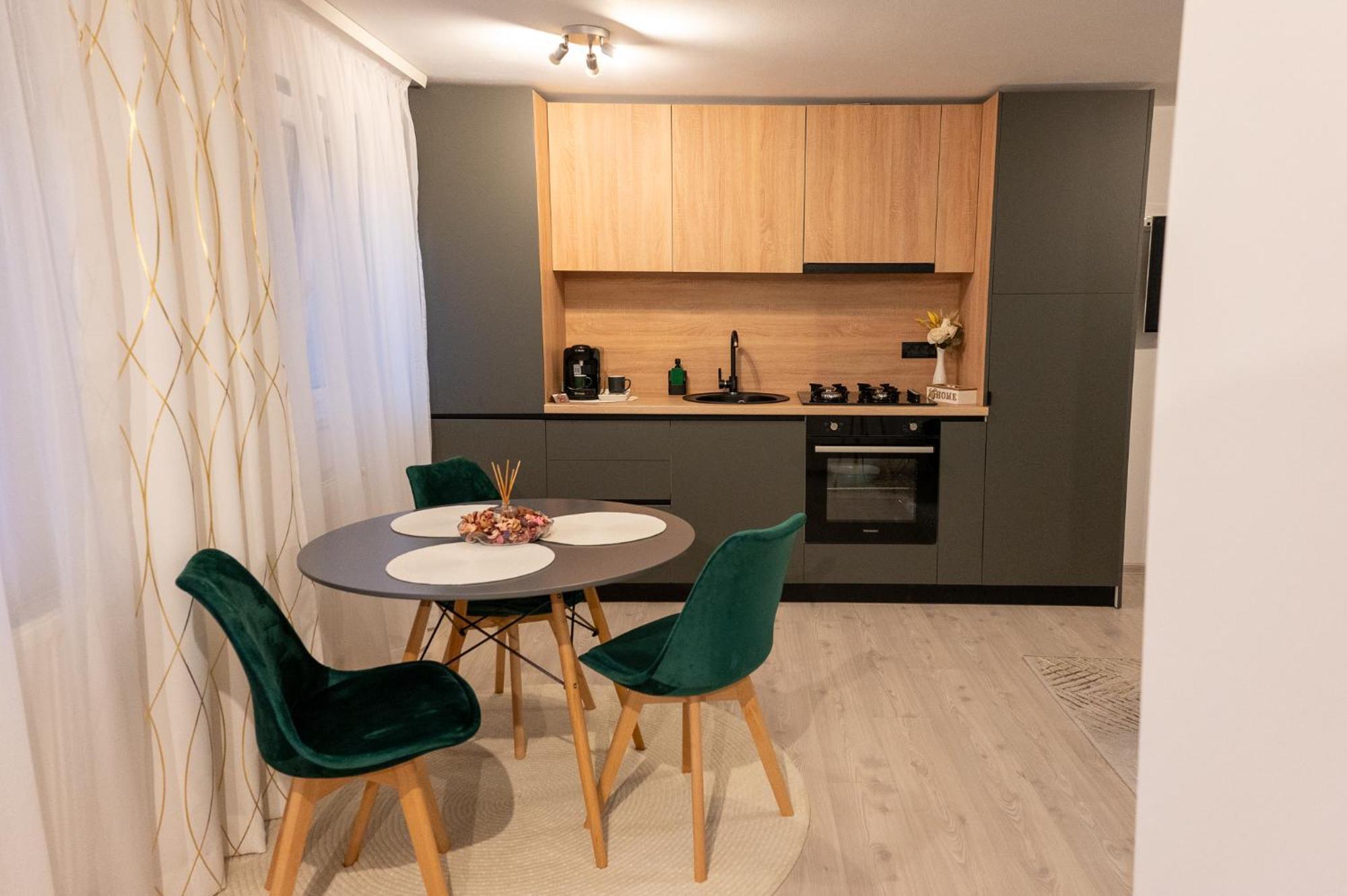 Apartment Luna Ap 1 Timisoara
